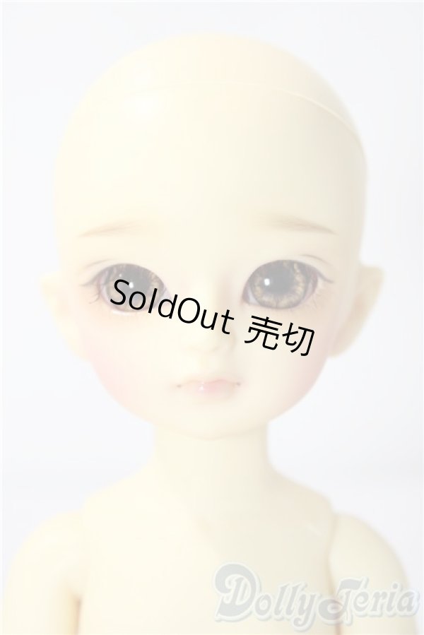 画像2: 幼sd/たんぽぽ U-26-01-07-214-TN-ZU (2)