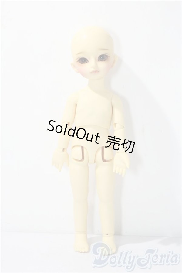 画像6: 幼sd/たんぽぽ U-26-01-07-214-TN-ZU (6)