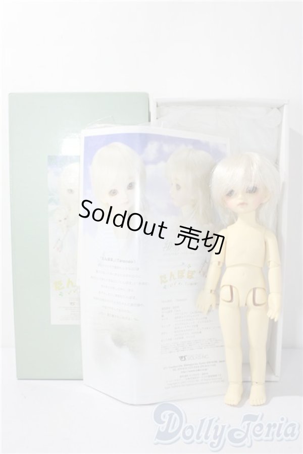 画像8: 幼sd/たんぽぽ U-26-01-07-214-TN-ZU (8)