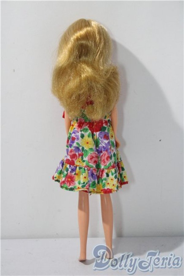 画像3: ジェニー/本体＆衣装 A-26-01-14-1071-TN-ZU (3)