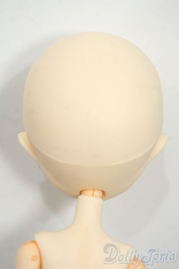 画像7: Harmonia bloom/プリテンダー/オベロン 第一再臨 「Fate/Grand Order」 GOODSMILE ONLINE SHOP限定 Y-26-01-14-229-TN-ZY (7)