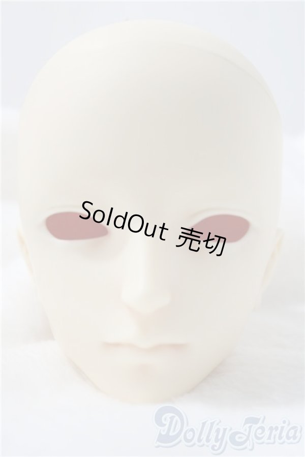 画像1: SD/F-71ヘッド U-26-01-14-208-TN-ZU (1)