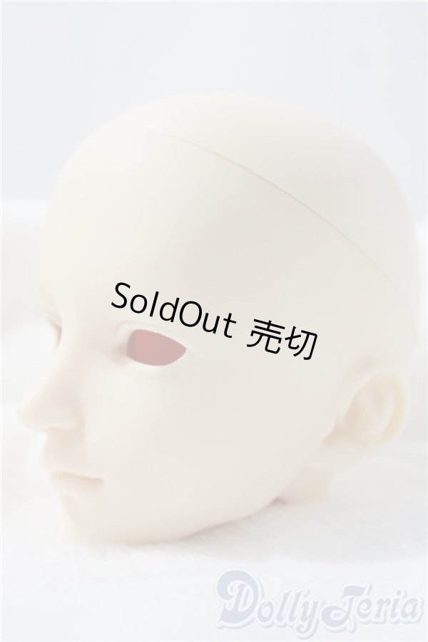 画像2: SD/F-71ヘッド U-26-01-14-208-TN-ZU (2)