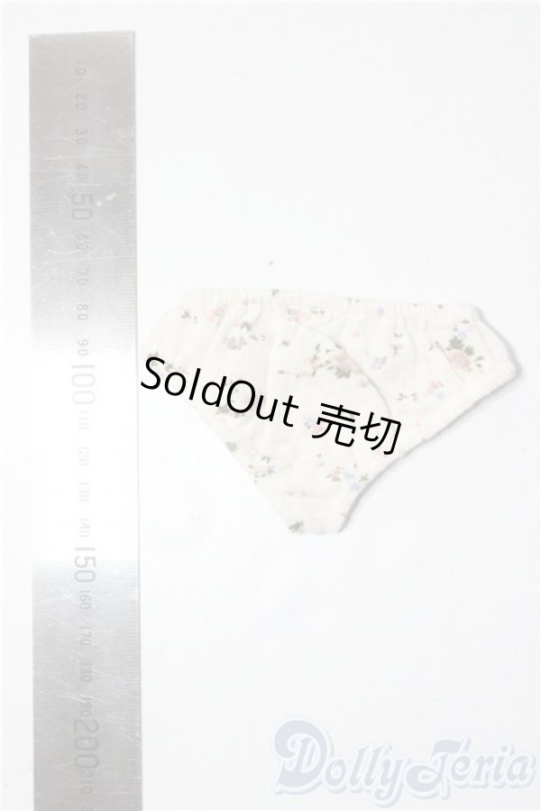 画像2: SD/OF:下着 U-26-01-21-001-TN-ZU (2)