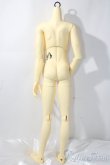 画像2: BJD CROBI/R-LINEボディ/ A-26-01-21-1100-TN-ZA (2)