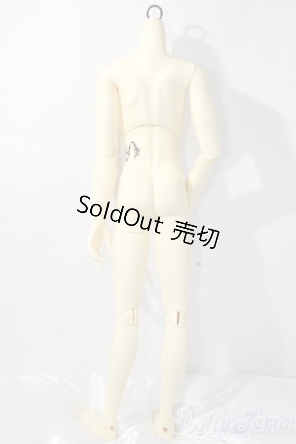 画像2: BJD CROBI/R-LINEボディ/ A-26-01-21-1100-TN-ZU (2)