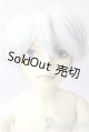 画像: SD13男の子/教室Aヘッド U-26-01-28-220-TN-ZU