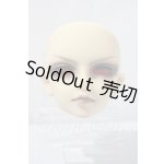 画像: SD17/レイズナー U-26-03-18-216-TN-ZU