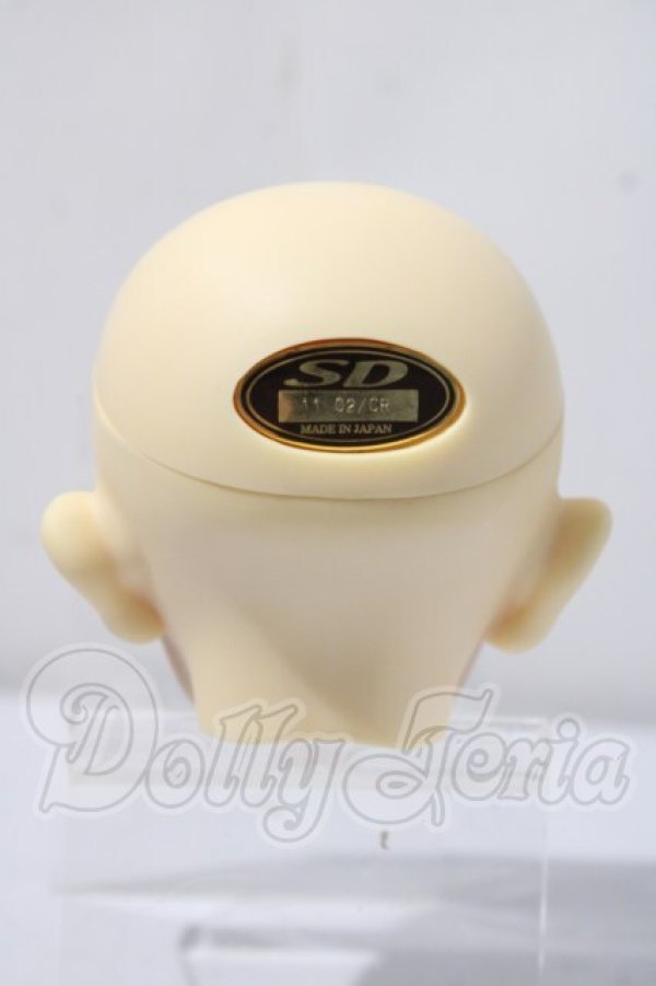 画像4: SD17/レイズナー U-26-03-18-216-TN-ZU (4)