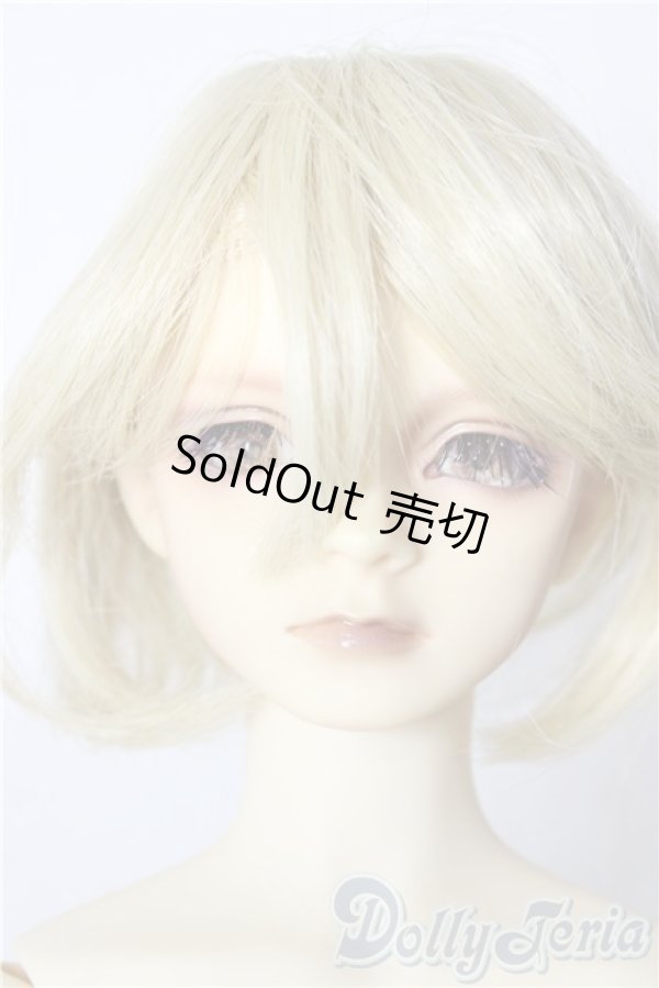 画像1: SD13男の子/ワンオフルカciera様 U-26-01-28-211-TN-ZU (1)