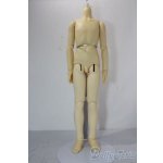 画像: MSD男の子/ボディ U-26-01-21-171-TN-ZU