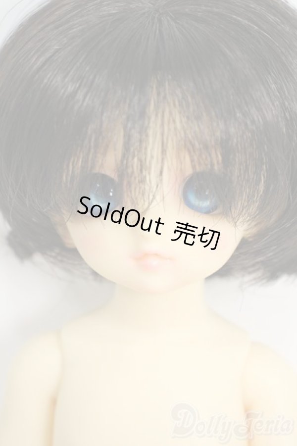 画像1: 幼SD/パピ Y-26-01-21-263-TN-ZY (1)