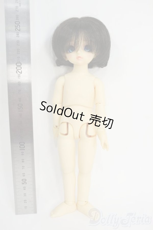 画像2: 幼SD/パピ Y-26-01-21-263-TN-ZY (2)