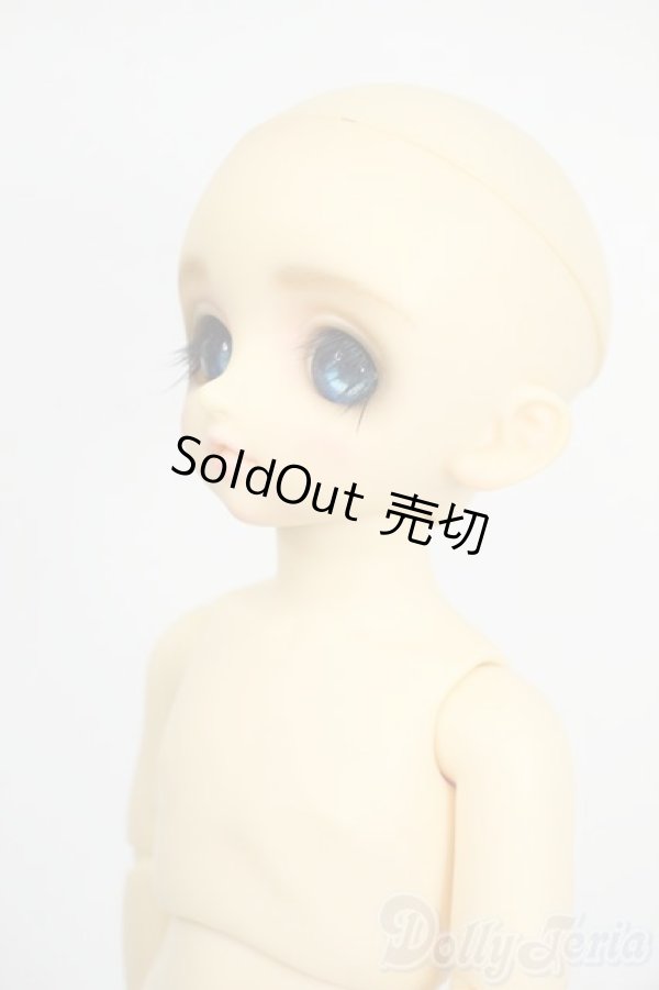 画像3: 幼SD/パピ Y-26-01-21-263-TN-ZY (3)