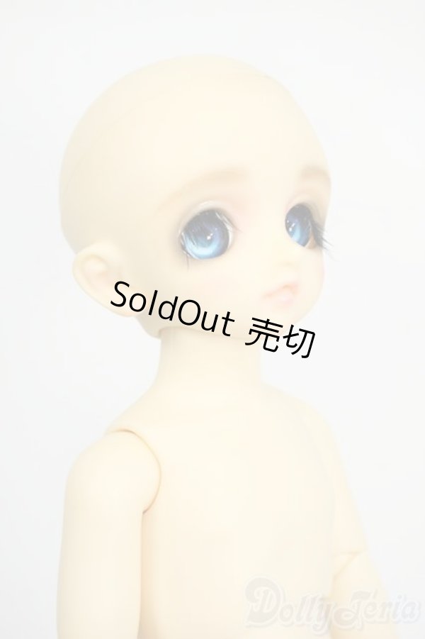 画像4: 幼SD/パピ Y-26-01-21-263-TN-ZY (4)