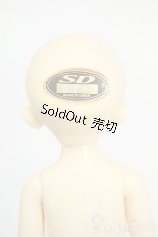 画像5: 幼SD/パピ Y-26-01-21-263-TN-ZY (5)