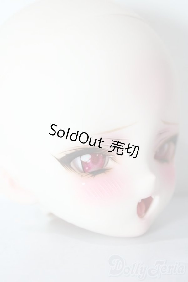 画像3: DDH-10カスタムヘッド（luceluce様）/BJD　球体関節人形 A-26-01-21-1035-TN-ZU (3)