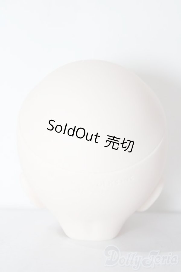 画像4: DDH-01/あられっ子製カスタムヘッド/BJD　球体関節人形 A-26-01-21-1038-TN-ZU (4)