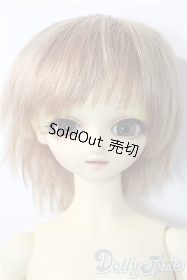 画像1: SD男の子/スタンダード　凌 U-26-01-28-207-TN-ZU (1)