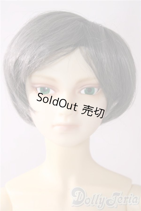 画像1: SD13BOY/フルチョイスF-30 U-26-01-28-210-TN-ZU (1)