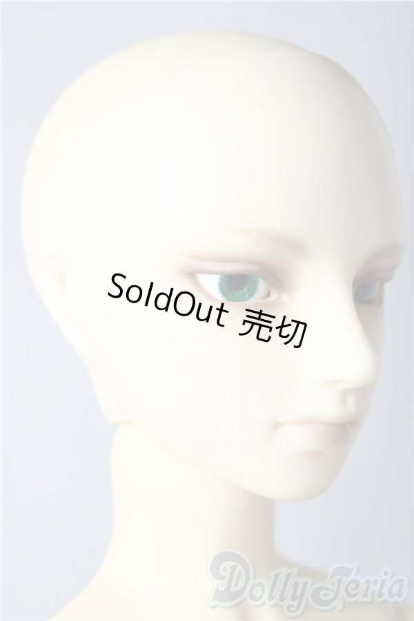 画像3: SD13BOY/フルチョイスF-30 U-26-01-28-210-TN-ZU (3)