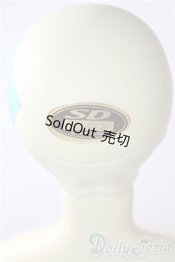 画像5: SD13BOY/フルチョイスF-30 U-26-01-28-210-TN-ZU (5)