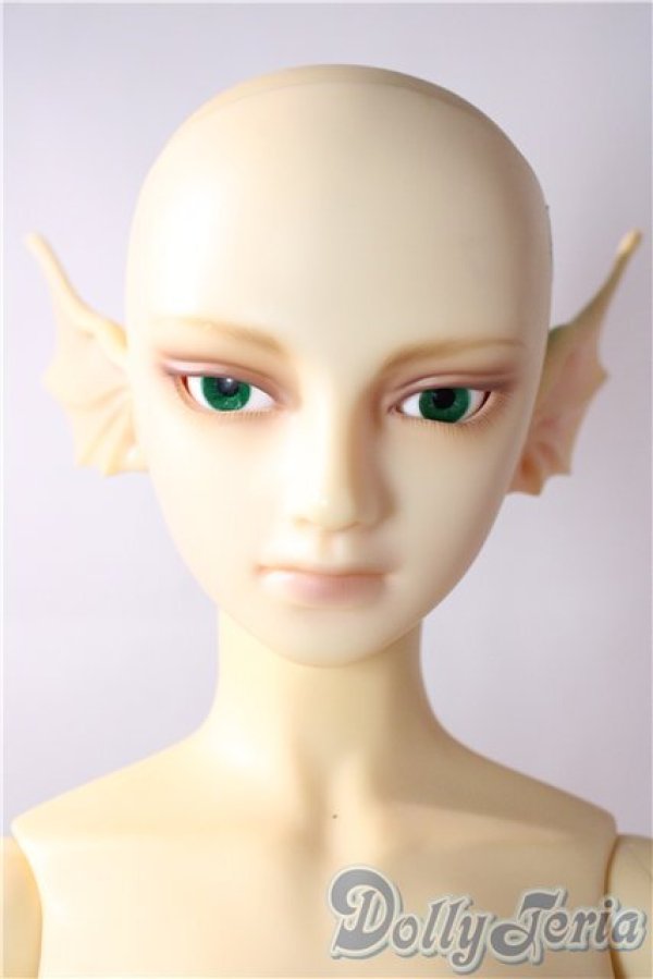 画像6: SD13BOY/フルチョイスF-30 U-26-01-28-210-TN-ZU (6)