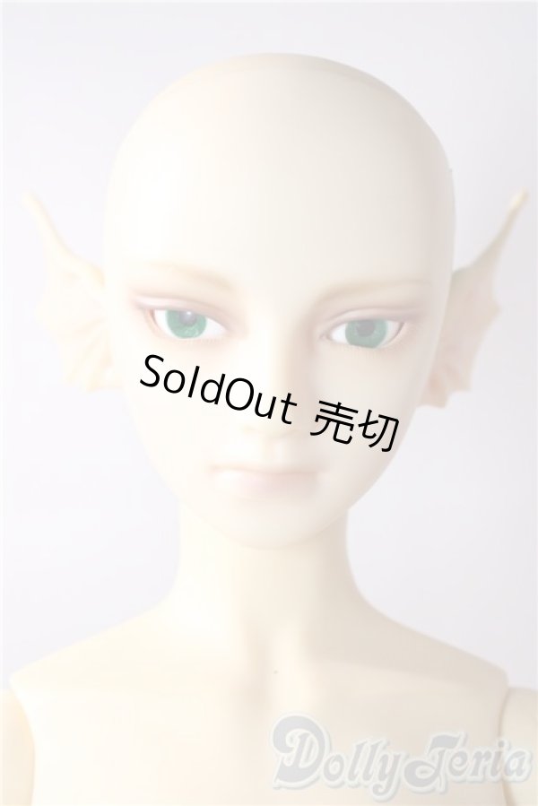 画像6: SD13BOY/フルチョイスF-30 U-26-01-28-210-TN-ZU (6)