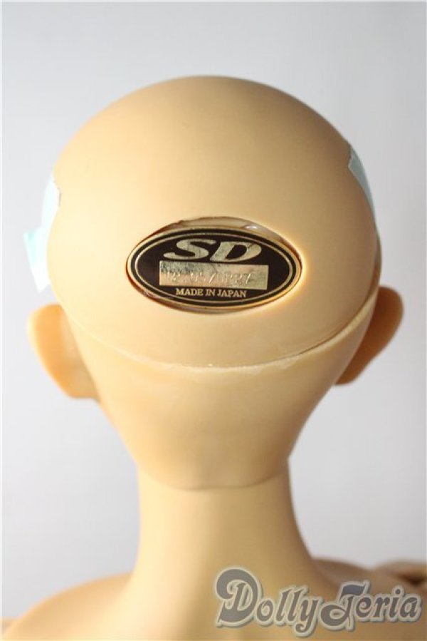 画像7: SD17男の子/橘　四郎 U-26-01-28-213-TN-ZU (7)