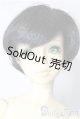 画像: SD男の子/かなた U-26-01-28-212-TN-ZU