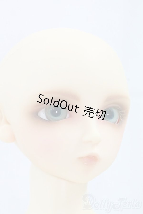 画像6: SD13/翔 I-26-02-08-057-TN-ZI (6)