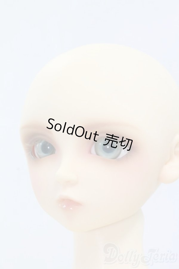 画像7: SD13/翔 I-26-02-08-057-TN-ZI (7)