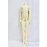 画像: SD13BOY/ボディ I-26-02-01-269-TN-ZI