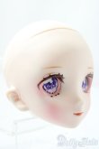 画像2: DD/DDH-06:カスタムヘッド/BJD　球体関節人形 A-26-01-21-1062-TN-ZA (2)