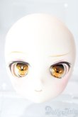 画像1: DD/DDH-28 カスタムヘッド/BJD　球体関節人形 A-26-01-21-1064-TN-ZA (1)