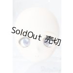 画像: DDH-01/カスタムヘッド/BJD 球体関節人形 A-26-01-21-1073-TN-ZU