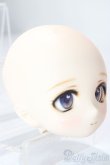 画像2: DDH-01/カスタムヘッド/BJD　球体関節人形 A-26-01-21-1073-TN-ZA (2)