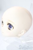 画像3: DDH-01/カスタムヘッド/BJD　球体関節人形 A-26-01-21-1073-TN-ZA (3)