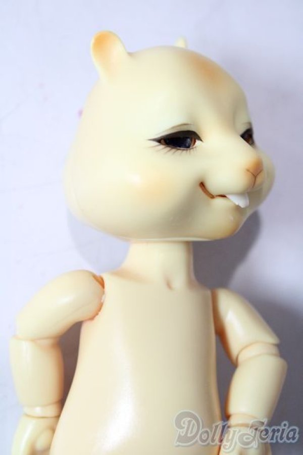 画像2: nobility doll/citrus scon/ A-26-01-21-1080-TN-ZA (2)