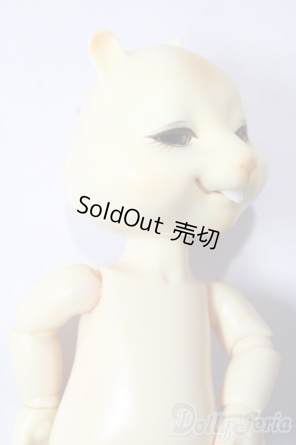 画像2: nobility doll/citrus scon/ A-26-01-21-1080-TN-ZU (2)