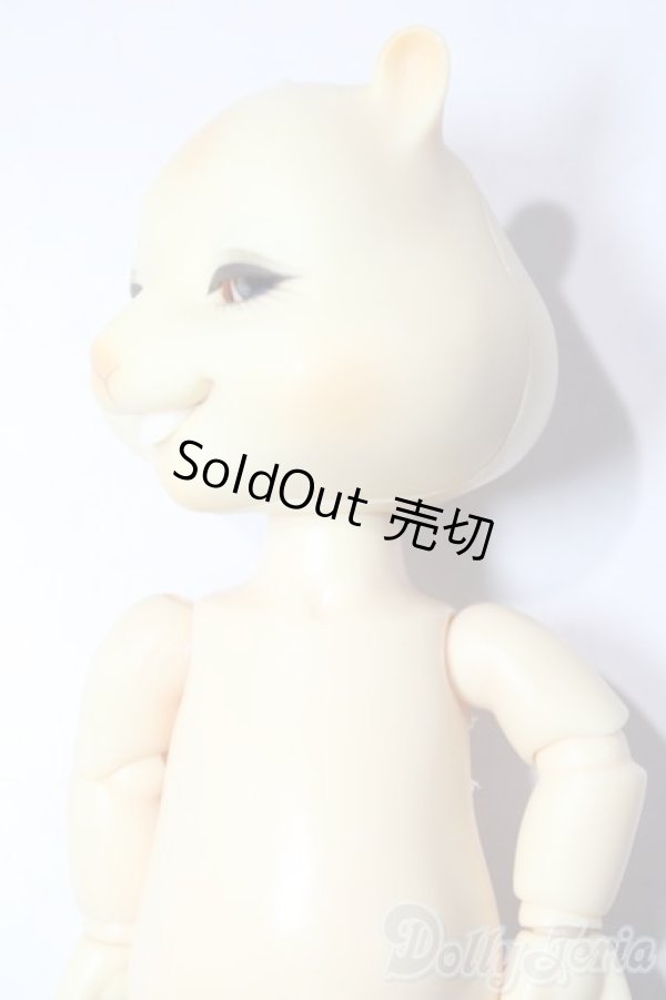 画像3: nobility doll/citrus scon/ A-26-01-21-1080-TN-ZU (3)