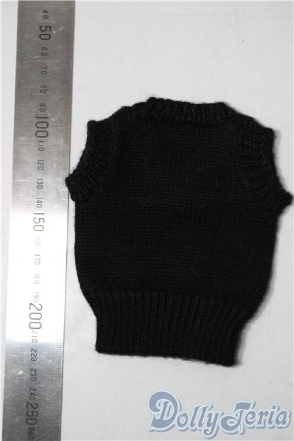 画像2: SDM&MSD/OF:トップス U-26-01-28-146-TN-ZU (2)