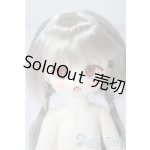 画像: TinyFox/幼い赤狼リトルアンナ1/6 A-26-01-28-1097-TN-ZU