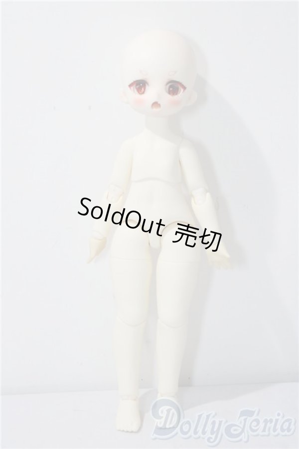 画像5: TinyFox/幼い赤狼リトルアンナ1/6 A-26-01-28-1097-TN-ZU (5)