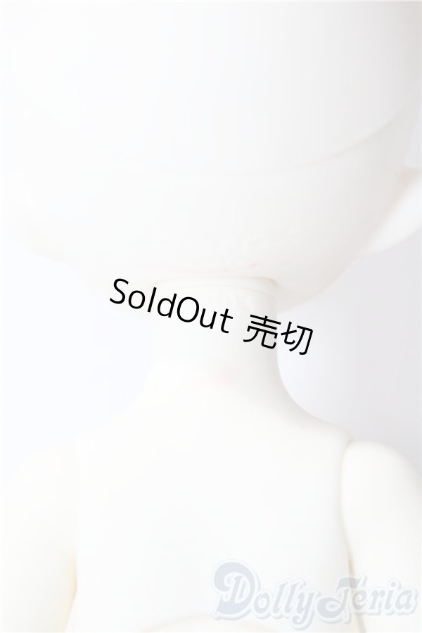 画像7: TinyFox/幼い赤狼リトルアンナ1/6 A-26-01-28-1097-TN-ZU (7)