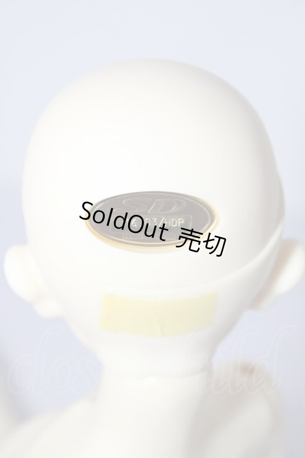 画像5: SD/リゲル 星間学寮Ver. U-26-02-04-217-TN-ZU (5)