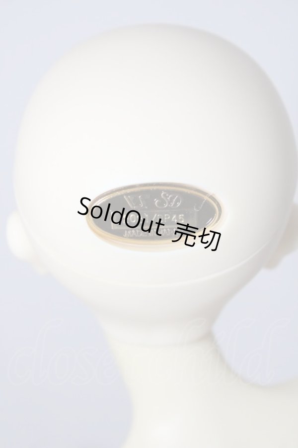 画像5: SDGr女の子/ルチア　アンティークスタイリスト Ver. U-26-02-04-216-TN-ZU (5)