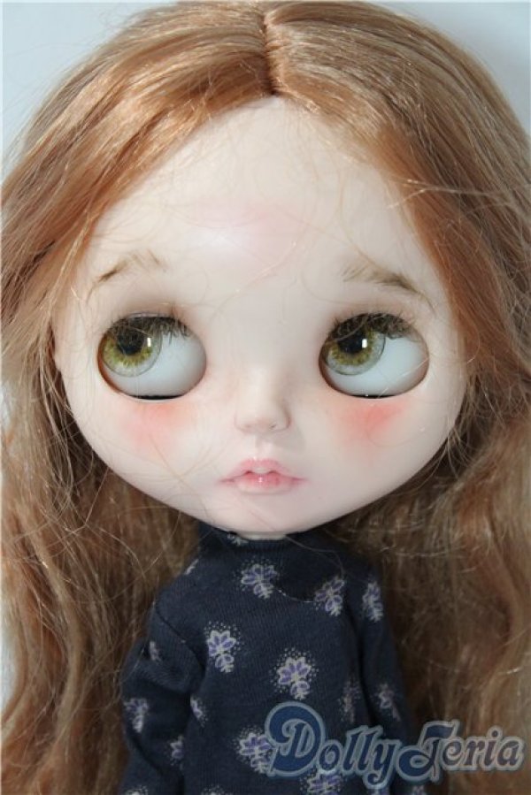 画像3: 作家様製カスタムネオブライス本体＆衣装 A-26-01-28-1061-TN-ZU (3)