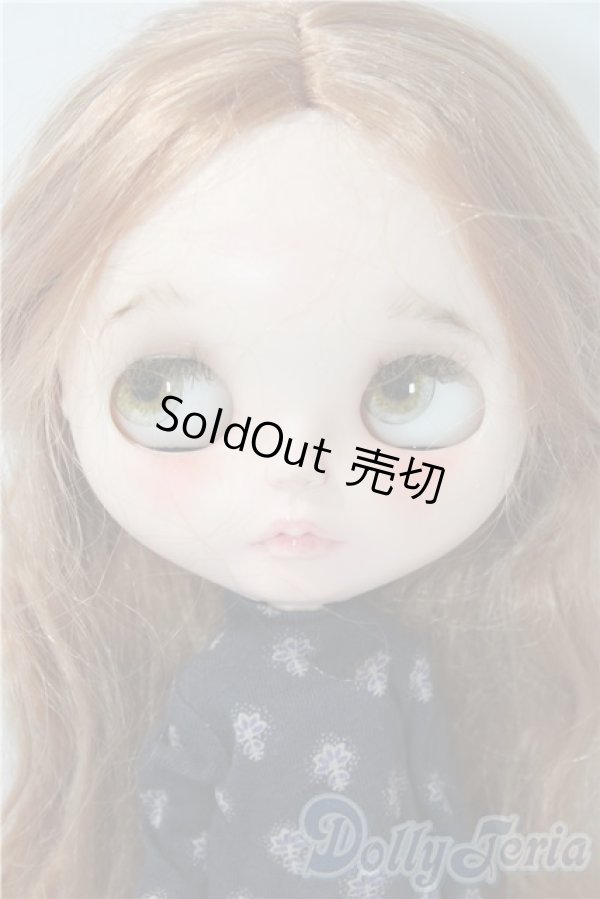 画像3: 作家様製カスタムネオブライス本体＆衣装 A-26-01-28-1061-TN-ZU (3)