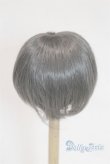 画像2: 6-7inch/ウィッグ U-26-02-04-282-TN-ZU (2)